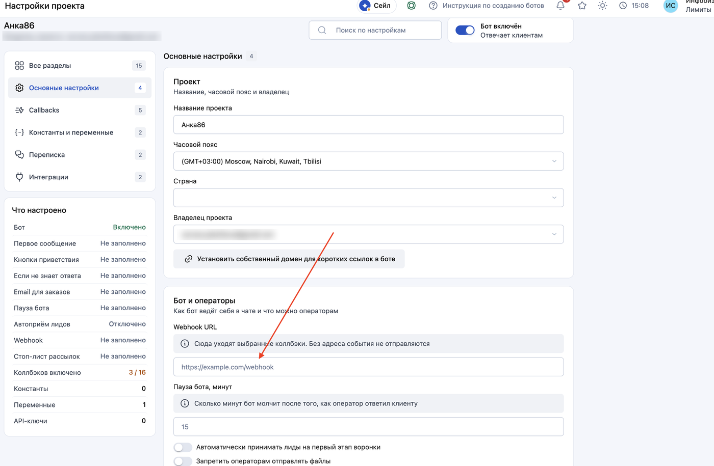 Salebot: Настройки → Основные настройки → Webhook URL